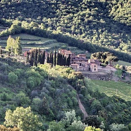 Residenza Antico Chianti ξενώνας Panzano in Chianti Εξωτερικό φωτογραφία