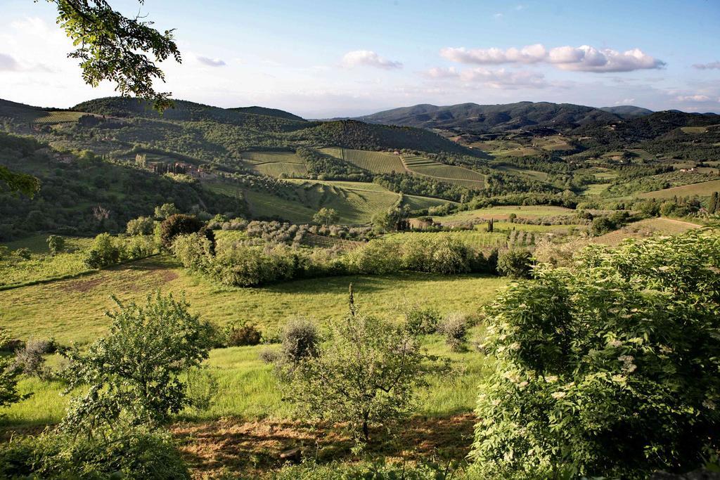 Residenza Antico Chianti ξενώνας Panzano in Chianti Εξωτερικό φωτογραφία